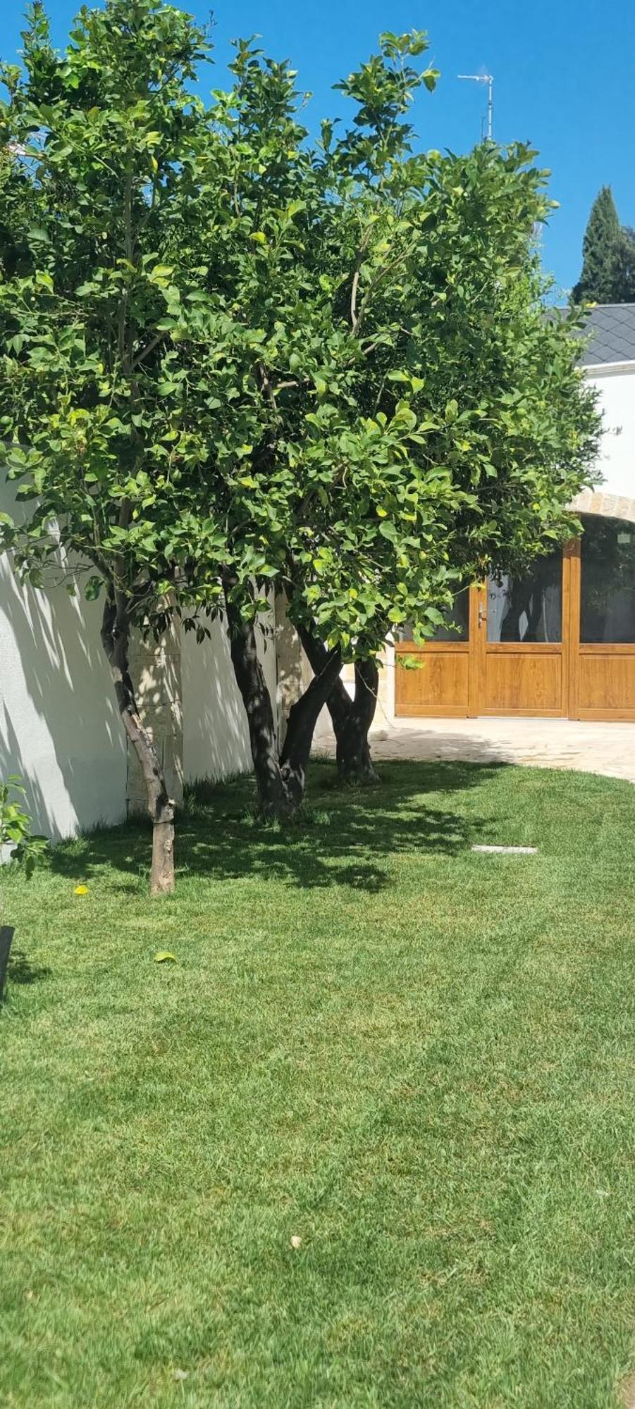 Villa Guajira Bari Exterior foto
